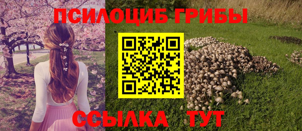 Галлюциногенные грибы Cubensis  как найти закладки  Псилоцибиновые грибы Cubensis  Нефтекумск  Вход с VPN 