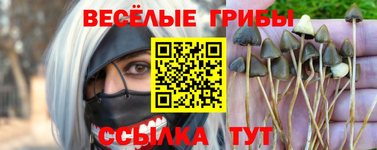 Галлюциногенные грибы GOLDEN TEACHER Нефтекумск