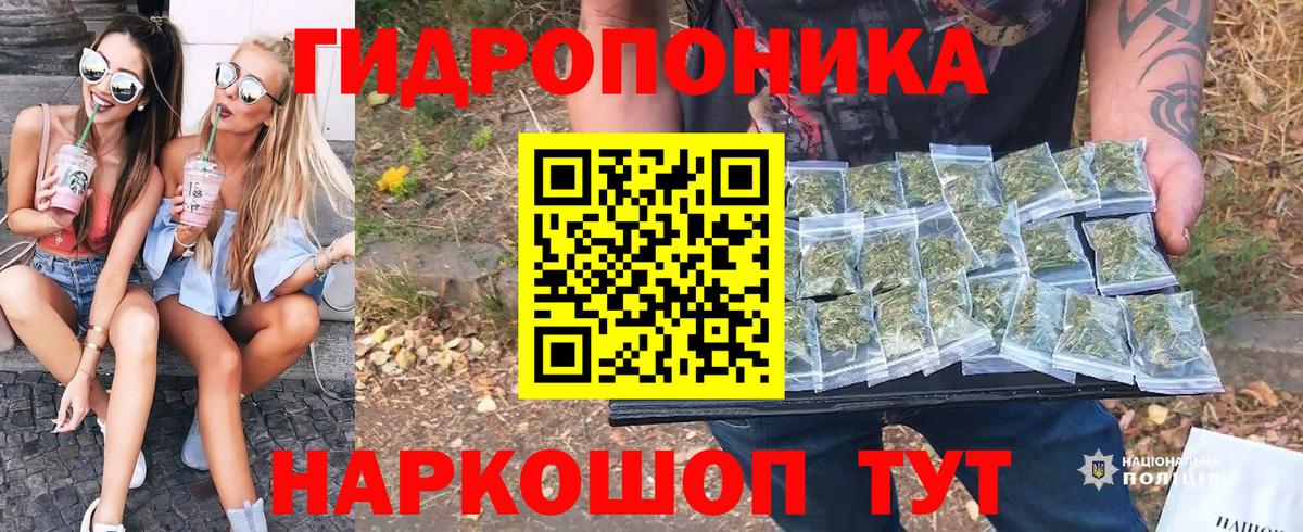 Конопля SATIVA & INDICA Нефтекумск